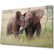 Marsilyan- Filler Cam Tablo