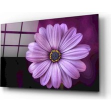 Marsilyan- Papatya Cam Tablo