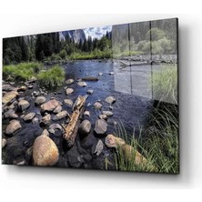 Marsilyan- Doğa Tablo