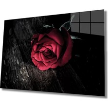 Marsilyan- Kırmızı Çiçek Illüstrasyon Cam Tablo