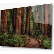 Marsilyan- Doğa Cam Tablo