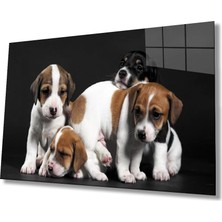 Marsilyan- Köpekler Cam Tablo