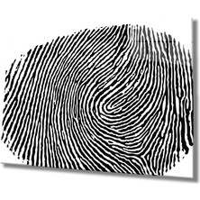 Marsilyan- Illüstrasyon Parmak Izi Cam Tablo