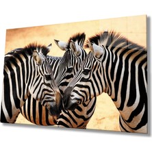 Marsilyan- Zebra Hayvan Cam Tablo