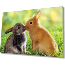 Marsilyan- Tavşanlar Cam Tablo