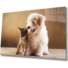 Marsilyan- Kedi ve Köpek Cam Tablo