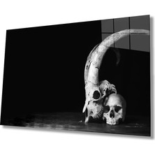 Marsilyan- Siyah Beyaz Kurukafa Fotoğrafları Cam Tablo