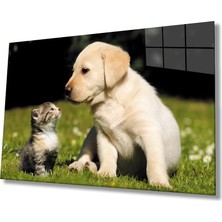 Marsilyan- Kedi Köpek Cam Tablo