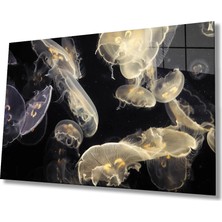 Marsilyan- Denizanası Cam Tablo