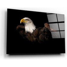 Marsilyan- Kartal Cam Tablo