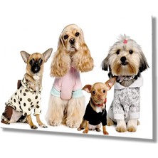 Marsilyan- Köpek Cam Tablo