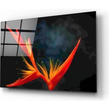 Marsilyan- Zambak Cam Tablo