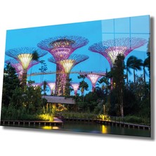 Marsilyan- Işıklı Singapur Cam Tablo , Singapour