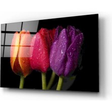 Marsilyan- Laleler Cam Tablo