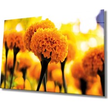 Marsilyan- Sarı Çiçek Cam Tablo Yellow