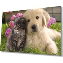 Marsilyan- Kedi Köpek Cam Tablo