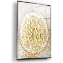 Marsilyan- Desen Cam Tablo Ekru