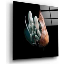 Marsilyan- Çiçek Cam Tablo