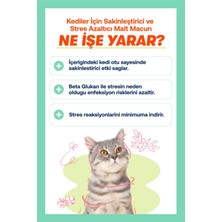 Rüyam Biofeline Kediler  Macun 100 gr
