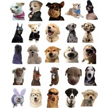 Sevimli Köpek Çıkartmaları Laptop Notebook Tablet Sticker Seti