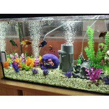 Sünger Bob Squidward Paskalya Adası Evi Akvaryum Süsü