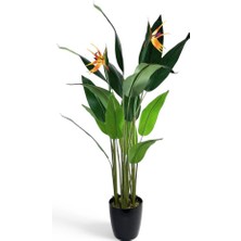 Yapay Ağaç Starliçe 160 cm  Horoz Ibiği Çiçekli Bird Of Paradise Artificial Plants