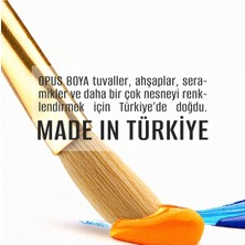 Opus Yağlı Boya 40 ml 8 Renk + 70 ml Işık Beyazı Pigmentora Colour Serie
