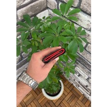 Derije  Deri Siyah/kırmızı Ince Erkek Cüzdanı (T1301)