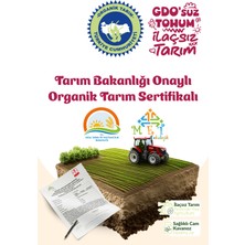 Motherese Organik Mega Set- Tarhana- Irmik- Tam Buğday Unu- Yulaf Unu- Zeytinyağ- Çorbalık Tahıl- Üzüm Pekmezi