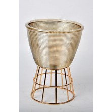 Seta Regina Decor Kase Modern Lınes Küçük Gold 22  cm