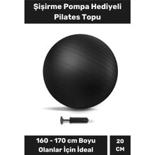 Mini Gymball 20CM Mavi Pilates Denge Egzersiz Topu Profesyonel Seri Şişirme Pompa