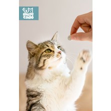 Kedi Köpek İç Parazit Bitkisel Iç Organizma Tableti  Destekleyici Ödül Vitamin Tablet ( Köpek ve Kedi İç Dış Parazit Damlası Değil Tabletidir Dış Parazit İçin Değil İç Parazit İçindir)