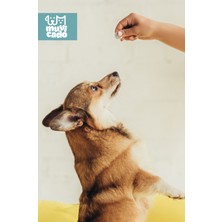 Kedi Köpek İç Dış Parazit Damlası ve Tableti Seti - Parazit Uzaklaştırıcı Bitkisel Damla - Ödül Tablet Seti - Bit Pire Giderici Damla ( 4 İç Parazit + 4 Dış Parazit )