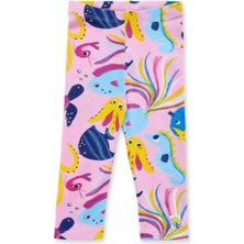 Kız Çocuk Renkli Desenli Tayt