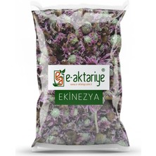 Ekinezya 100 gr