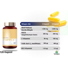 Creavit Pappex® Egcg, Vitamin B12 ve Vitamin C, 120 Vegan Kapsül