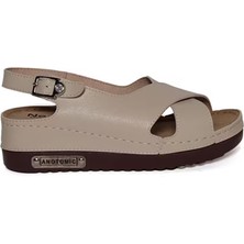 Roy Jones Kadın Ortopedik Şık Konfor Modeli Anatomik Rahat Taban Kısa Topuklu Günlük Sandalet Terlik