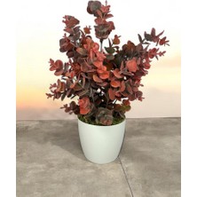 Yapay Çiçek Beyaz Saksıda Okaliptus Şimşir Demeti Pudralı Pastel Bordo Dekoratif Yapay Bitki