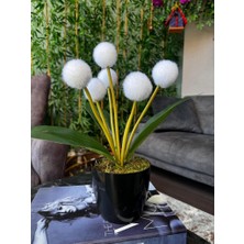 Yapay Çiçek Beyaz Pompon Siyah Saksıda Dekoratif Yapay Çiçek 30*20 cm