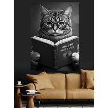 Kitap Okuyan Kedi Dekoratif Kanvas - Mdf Ahşap Tablo