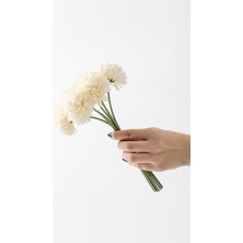 Yapay Kasımpatı Çiçeği Krem 25  cm  7 Dal