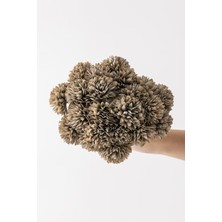 Yapay Kasımpatı Çiçeği Gri 25 cm 7 Dal