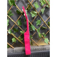 54 cm Soprano Pempe Ukulele (Kılıf ve Pena Dahil)