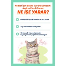 Rüyam Biofeline Kısırlaştırılmış Kediler  Seti: 100gr Malt Macun + Biotinli Damla