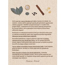 Tuana Trend Bereket Zenginlik Para Kesesi Sitrin Doğal Taş Mıknatıs Defne Yaprağı Para Ritüeli