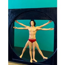 Altın Oran Adam Da Vinci  Veronese Vitruvius Biblosu Polyester