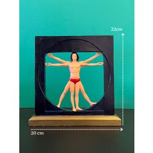 Altın Oran Adam Da Vinci  Veronese Vitruvius Biblosu Polyester