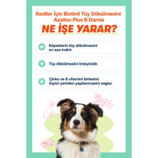 Biofeline Fish Oil & Plus+B For Dogs