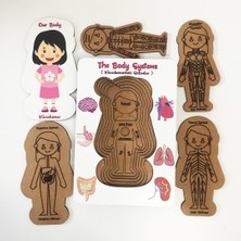 Moon Beavers Vücudumuz Sistemleri - Kız Eğitici Öğretici Geliştirici Boyanabilir Ahşap Sağlıklı Oyuncak