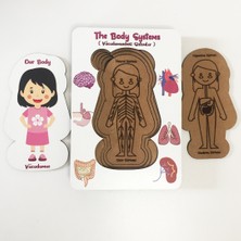 Moon Beavers Vücudumuz Sistemleri - Kız Eğitici Öğretici Geliştirici Boyanabilir Ahşap Sağlıklı Oyuncak